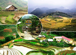 Du lịch Cát Cát – Fansipan 2 ngày 1 đêm