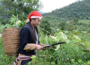 Trải nghiệm tắm thuốc lá khi du lịch Sapa